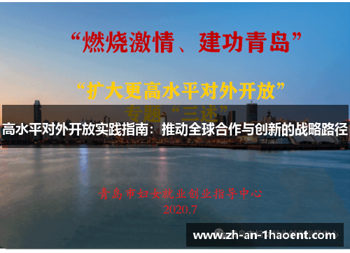 高水平对外开放实践指南：推动全球合作与创新的战略路径